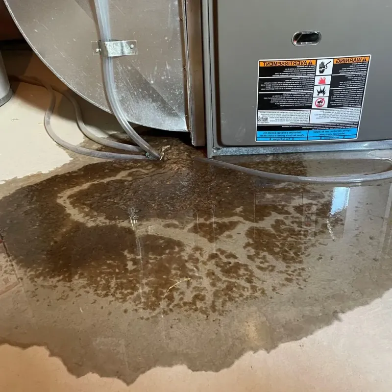 Pipe Burst and Leak Restoration in Rockville, MD